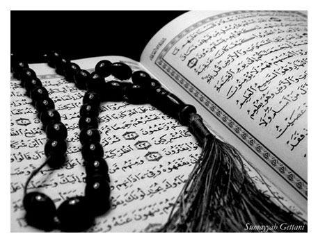 Reading the Quran: A Primer in History, Facts and Context
